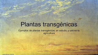 Plantas transgénicas [upl. by Ainnos129]