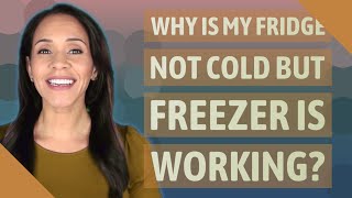 Why is my fridge not cold but freezer is working [upl. by Aisan]