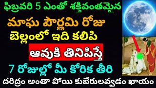 ఫిబ్రవరి 5 మాఘపౌర్ణమి ఆవుకి ఇది తినిపిస్తే దరిద్రం కష్టాలన్నీ పోయి ఇంట్లో డబ్బే డబ్బు కుబేరులవుతారు [upl. by Aihtnis]