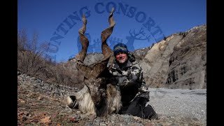 Hunting Tajikistan Marco Polo Sheep and Bukharan Markhor Hunting in Tajikistan 2019 [upl. by Saraann]