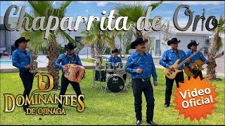 Chaparrita de Oro  Dominantes de Ojinaga  Video Oficial MúsicaNorteña [upl. by Eilak36]