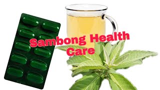 Sambong Herbal Medicine  Proven and Tested [upl. by Haroppizt]