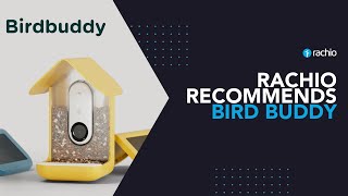 Rachio Recommends Bird Buddy [upl. by Haras]