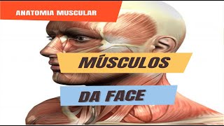 MÚSCULOS DA FACE [upl. by Taite971]