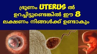 8 Symptoms of Pregnancy Deechus world Malayalam [upl. by Ardra]