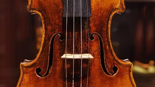 Great violins of the world Amati Stradivari Gvarneri Antoniazzi Digiuni and Ce バイオリン [upl. by Allimak633]