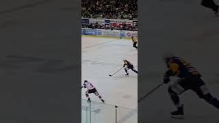 Lausitzer Füchse vs EHC Freiburg 💙💛💪 [upl. by Buiron]