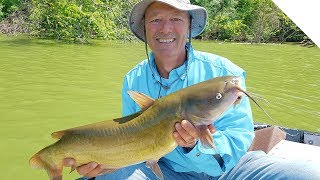 Fish Finder Rig amp Drag Tips  How to Catch Channel Catfish [upl. by Charron]