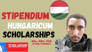 University of Pecs Stipendium Hungaricum Scholarships In Hungary Fully funded No IELTS BSc MSc PhD [upl. by Tebor]