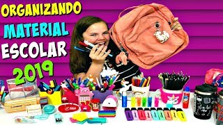 ORGANIZANDO MEU MATERIAL ESCOLAR 2019  COMO FOI POSSÍVEL [upl. by Albric]