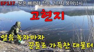 EP137 꾼은 빠르다  얼음 녹자마자 꾼들로 가득찬 대물터  청송  고현지  붕어낚시  Crucian Carp Fishing [upl. by Atisor]