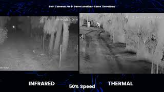 Thermal VS Infrared  Security Camera Comparison [upl. by Wynny]