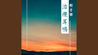 高效耳鳴音樂治療 [upl. by Reseta]