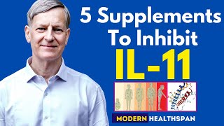 5 Supplements To Inhibit IL11 [upl. by Sairahcaz]