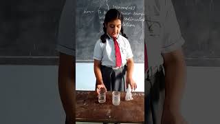 Activity on sedimentation and decantation sedimentation cbse ncert experiment [upl. by Gosney]