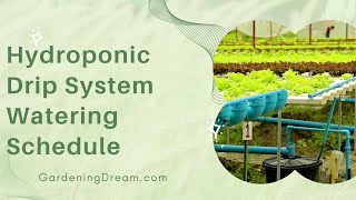 Hydroponic Drip System Watering Schedule [upl. by Noryk]