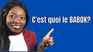 Cest quoi le BABOK pour un analyste daffaires What is BABOK for a business analyst [upl. by Akins478]