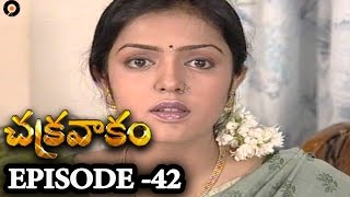 Episode 42  Chakravakam Telugu Daily Serial [upl. by Iru795]