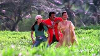 Pavithra Prema movie songs  Goo Gumma Goo song  Balakrishna Laila Roshini [upl. by Roshan738]