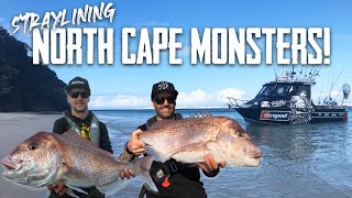 CRAZY fishing in a REMOTE location  S6 EP5 Far North NZ Part 2 [upl. by Simmonds564]