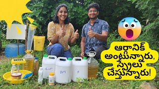 Integrated Pest Management in Organic Farming Esub సేంద్రియ వ్యవసాయంలో సమగ్ర చీడ పీడ వ్యాధి నివారణ [upl. by Welch]