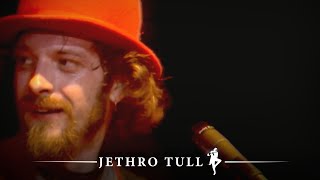 Jethro Tull  Velvet Green Sight And Sound In Concert Jethro Tull Live 19th Feb 1977 [upl. by Adachi]