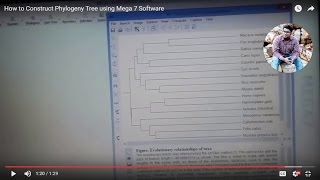 Understanding Phylogenetic Tree Structure and Formation with MEGA 7  WindowsMac Tutorial [upl. by Nomis]