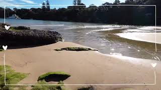 Collins Flat Beach nswtrip beach manly nsw [upl. by Baldridge]