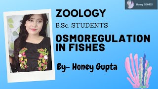 Osmoregulation in Fishes  BSc PART 1 SEMESTER 2  Detailed Explanation IN HINDI [upl. by Ennahs]