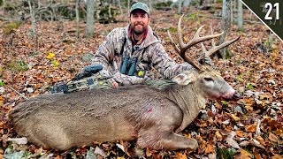 BIG WOODS BUCK with a BOW  Missouri Public Land [upl. by Magna428]