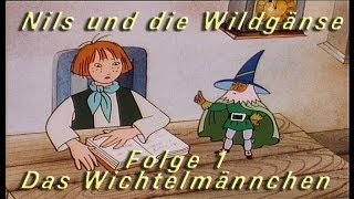 Nils und die Wildgänse Folge 1 Das Wichtelmännchen Kinderhörspiel [upl. by Atipul]