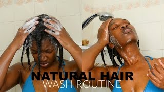 How To Wash Hair In Braids  NO MORE TANGLES  4C NATURAL HAIR WASH ROUTINE  Clarify Natural Hair [upl. by Idnarb436]