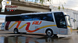 En Acción Sobre La 57  Autobuses AU 1 [upl. by Llibyc]