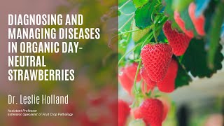 Diagnosing and Managing Diseases in Organic DayNeutral Strawberries [upl. by Arst485]