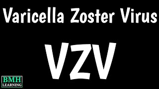 Varicella Zoster Virus  Chickenpox amp Shingles  Herpes Zoster  Causes Symptoms Of VZV [upl. by Ettesus]