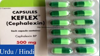 Keflex Cephalexin Capsules uses side effects and Warning [upl. by Patricio]