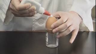 Video 32 Making of an egg osmometer [upl. by Baniez]