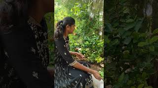 Ixora plant propagation best flowering in outdoorgardenup gardening garden gardendesign [upl. by Renato]