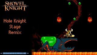 Mole Knight Stage Remix  Shovel Knight [upl. by Llerrehc]