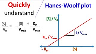 Hanes Woolf plot [upl. by Mcspadden]