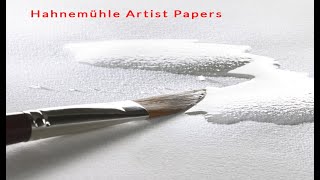 Hahnemuhle 140lb rough paper test [upl. by Acinom]