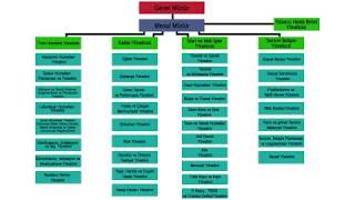 Klinik Yönetim Modeli ve Organizasyon Şeması [upl. by Adrien744]