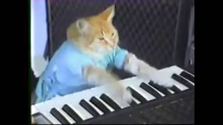 Dr Dre  Still DRE ft Pianist Cat [upl. by Gwennie]