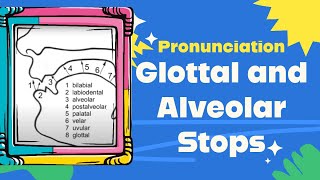 Glottal and Alveolar Stops Pronunciation [upl. by Vassar]