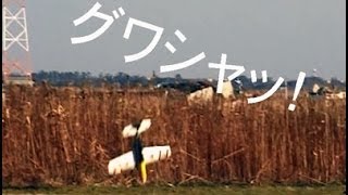 quotバキッquot ラジコン飛行機のクラッシュ！ RC airplane crash [upl. by Xever]