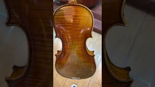 Fine professional handmade violin for saleGFEUA21 luthier violin violinmaking musicviolinist [upl. by Renaxela]