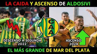 La CAIDA Y ASCENSO de ALDOSIVI De MAR DEL PLATA a PRIMERA DIVISIÓN [upl. by Nilrem]