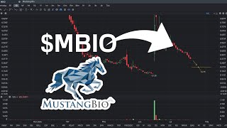 MBIO Stock Price Prediction Will Go Down  MBIO stock analysis [upl. by Weinert609]