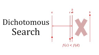 Dichotomous Search [upl. by Yodlem]