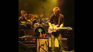 Phish  Reba 81096  Alpine Valley Music Theatre  East Troy WI [upl. by Grace440]